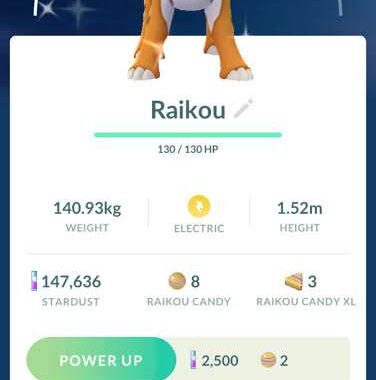 Shiny Raikou Pokemon
