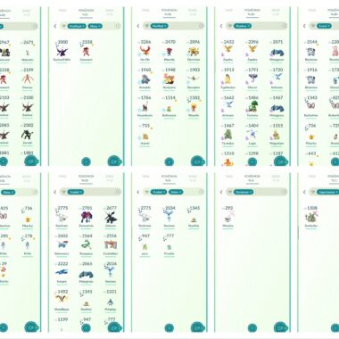 Pokemon GO Level 60 account with shiny xerneas