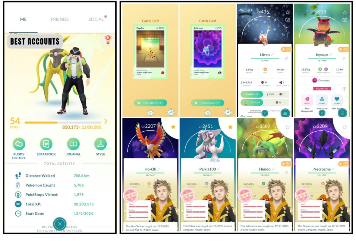 Level 54 Pokemon Go Account 2024