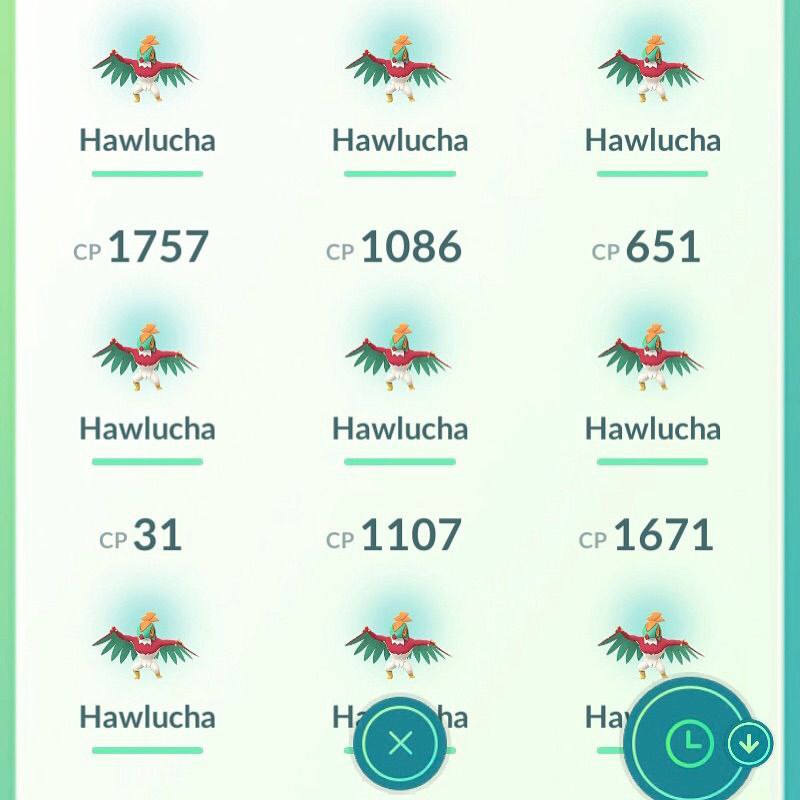 Hawlucha Pokemon Go Hawlucha Pokemon Go
