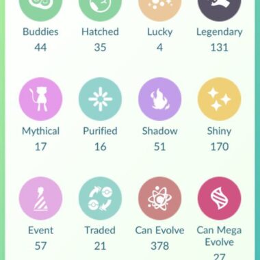 Pokémon Go account storage categories and tag counts