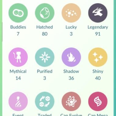 Stats overview for Pokemon Go account with 91 Legendaries