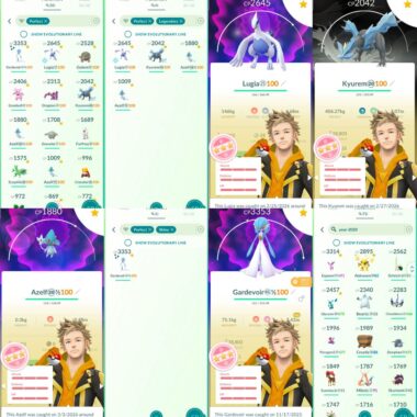 100% IV Perfect Hundo Collection featuring rare spawns for Level 57 Account 528a at PGServiceShop