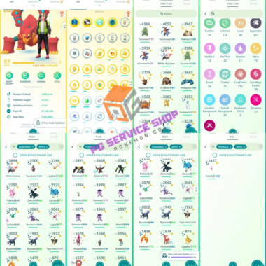 Player Profile showing Level 57 elite status, Platinum medals, and 2016 start date for Account 528a on PGServiceShop.