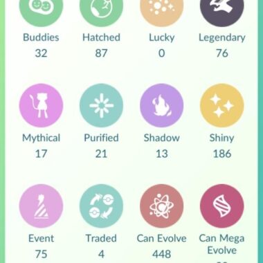 Pokemon GO catalog tags legendary shiny dynamax storage count account 541a