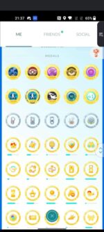 Completed gold and platinum achievement badges on high level gaming account