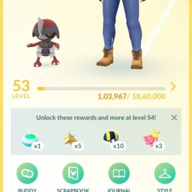 Premium level 53 account trainer profile stats showing 17.5M XP and 2016 start date on pgserviceshop.com