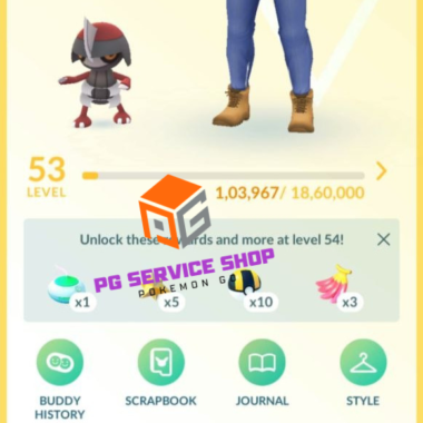 Premium level 53 account trainer profile stats showing 17.5M XP and 2016 start date on pgserviceshop.com