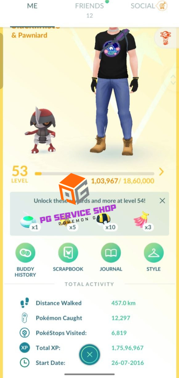 550a-profile-1 Premium level 53 account trainer profile stats showing 17.5M XP and 2016 start date on pgserviceshop.com