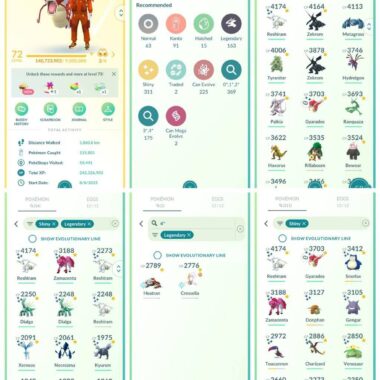 High-Level Trainer Collection Overview account id 554a