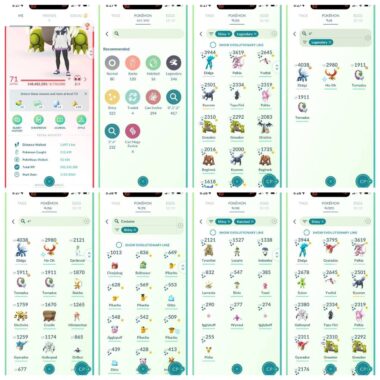 Full Pokemon GO Account Inventory - ID 555a
