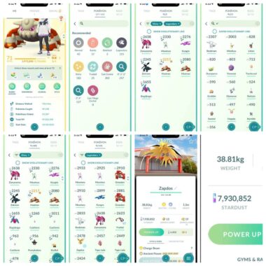 High-Level Pokémon GO Account ID 556a Inventory