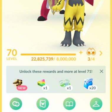 Level 70 trainer profile screen showing 108M Total XP and 2019 start date on pgserviceshop.com